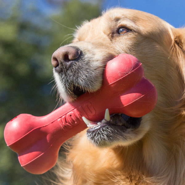 KONG Goodie Bone Classic M