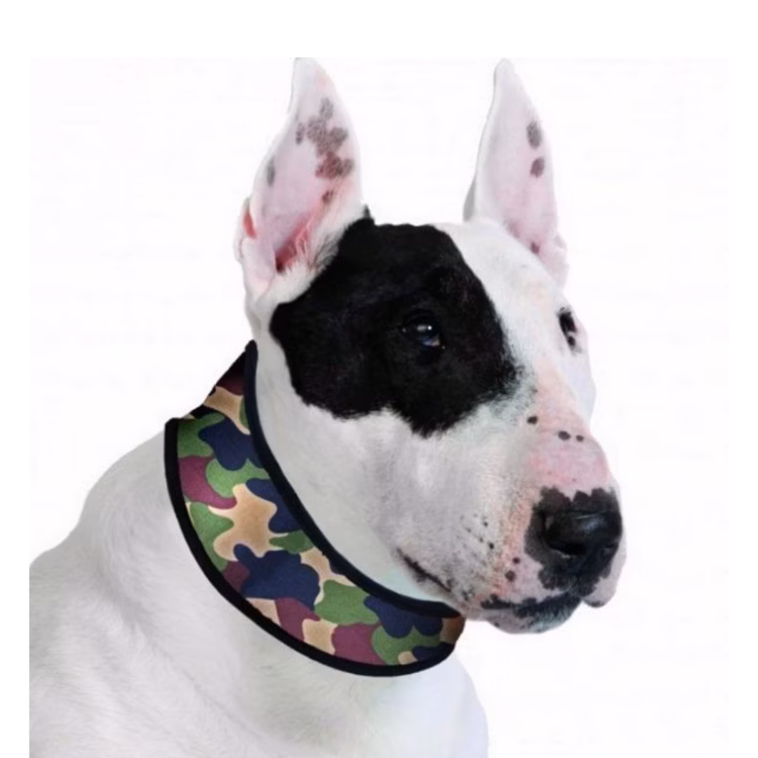 Collar 4XL Camoflage