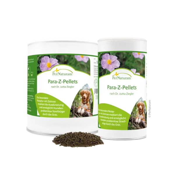 Para-Z-Pellets nach Dr. Jutta Ziegler