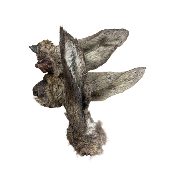 Hirschohren mit Fell
