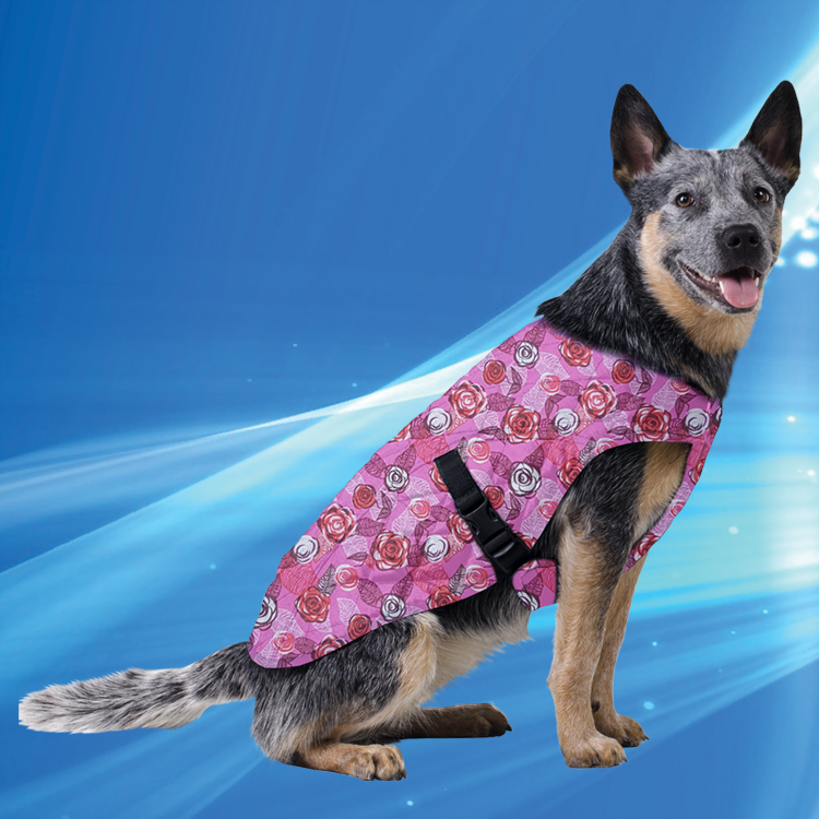 Pet Jacket XL Rose