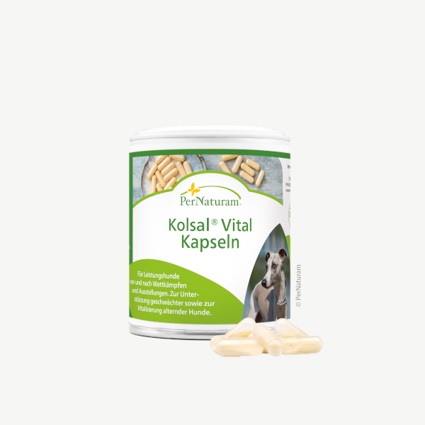 Kolsal Vital Kapseln ( 50 Stk )