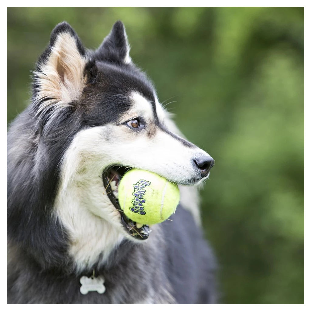 KONG Squeakair Ball 6er Pack