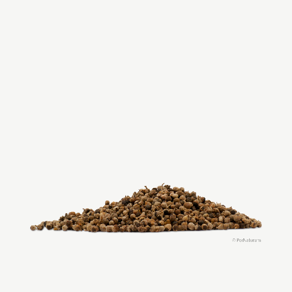Mönchspfeffer (1 kg)