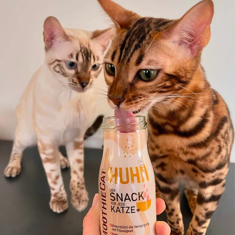 SmoothieCAT