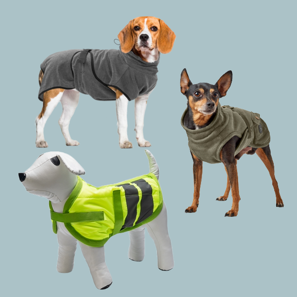 Bekleidung & Sicherheit