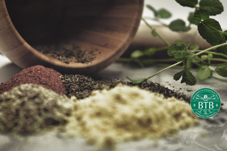 Beratungen & InsiderCard