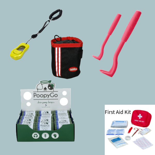 Zubehör & Beschäftigung