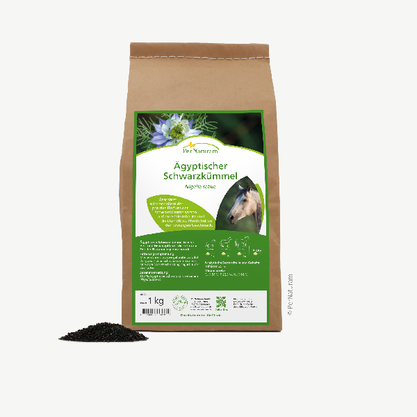 Ägyptischer Schwarzkümmel ( 1 kg )