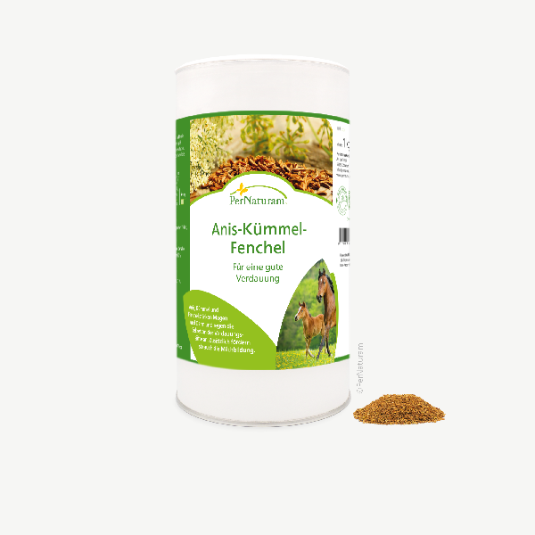 Anis-Kümmel-Fenchel Mischung 1 kg