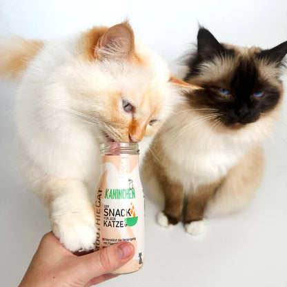 SmoothieCat Kaninchen 150ml