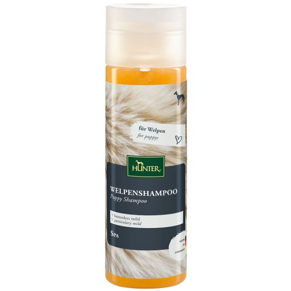 Shampoo - verschiedene Sorten