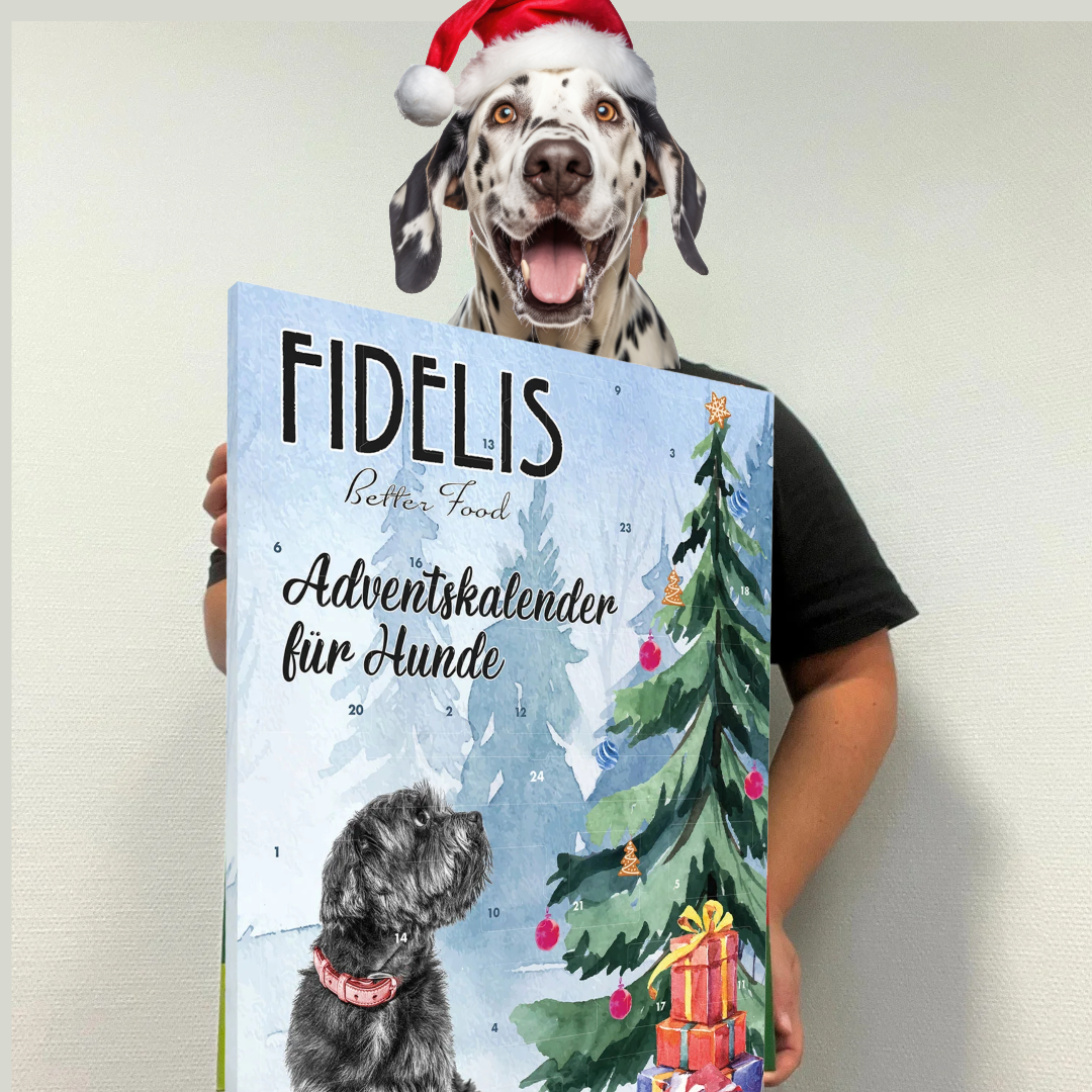 XL-Adventskalender für Hunde "FIDELIS 1" (53 x 42 cm)