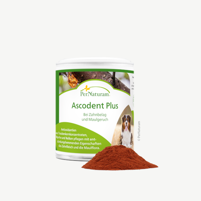 Ascodent Plus (50 g)