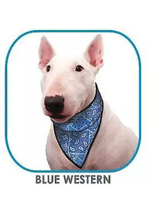Bandana XL Blue Western