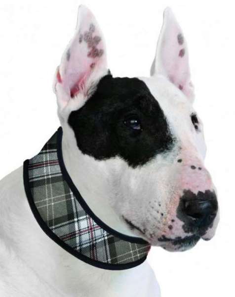 Collar XS+ Scottish Grey