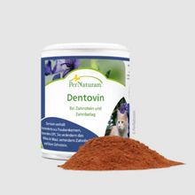 Dentovin (50 g)