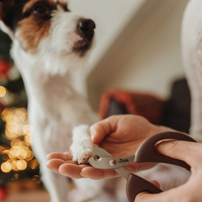 Krallenschere Spa klein