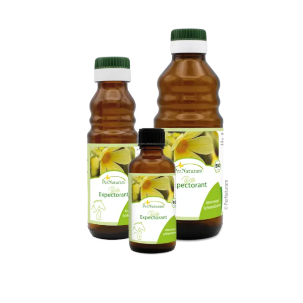 Bio Expectorant D (100 ml)