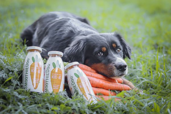 Smoothie Dog  nach MORO-ART 250ml