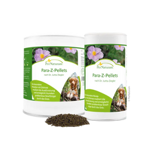 Para-Z-Pellets nach Dr. Jutta Ziegler