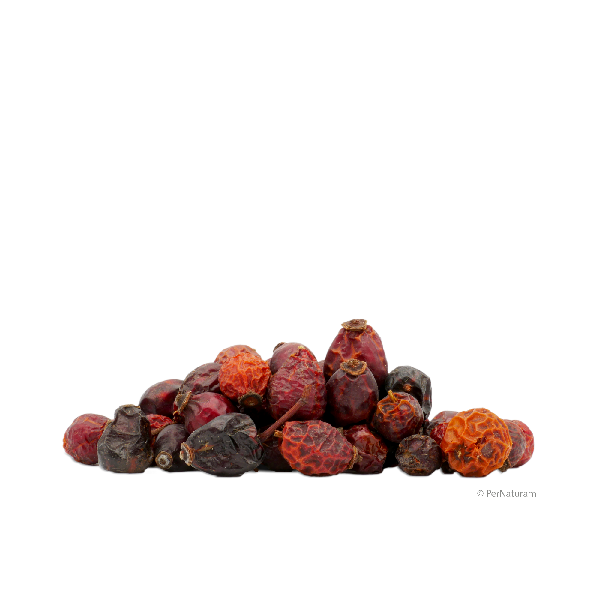 Hagebuttenfrüchte ganz (2 kg)