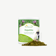 Hepatika (100 g)