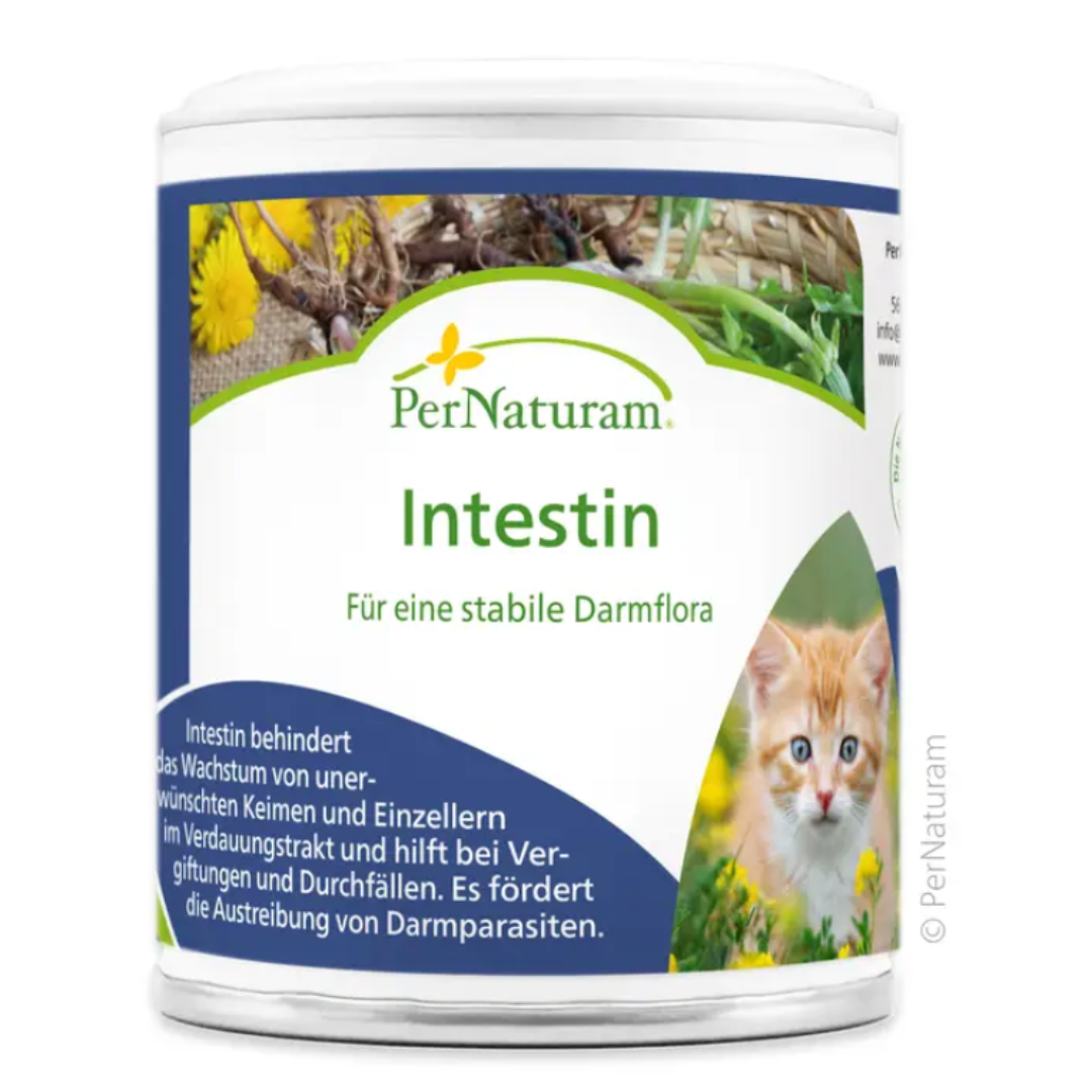 Intestin 50 g