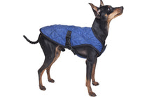 Pet Jacket XXS Pacific Blue