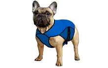 Pet Jacket XL Pacific Blue