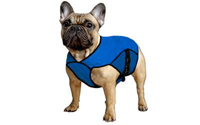 Pet Jacket XXL Pacific Blue