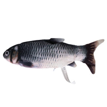 Robocat Fisch "Karpfen"