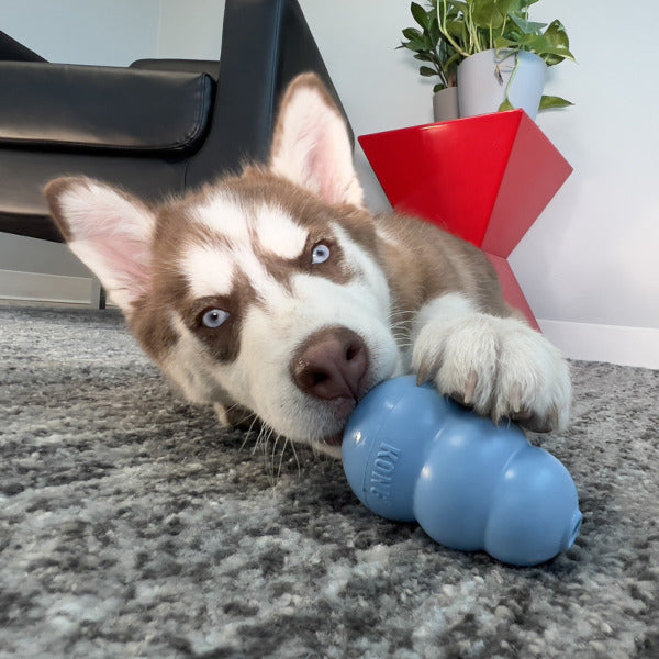 KONG Classic Puppy - verschiedene Größen
