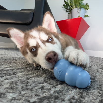 KONG Classic Puppy - verschiedene Größen