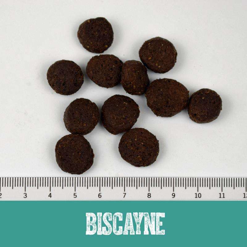Biscayne 14kg