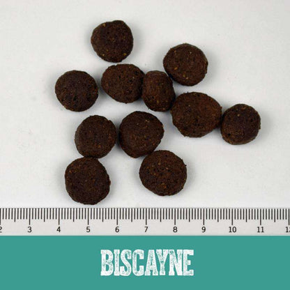 Biscayne 14kg