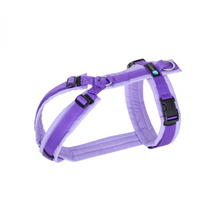 Anny-X Fun lavendel S