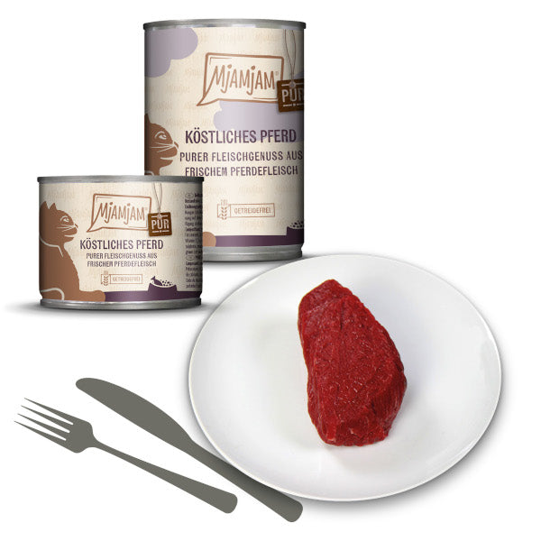 Mjamjam Katze Pferd pur