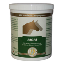 MSM