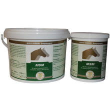 MSM