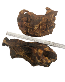 Pferdekehlkopf  XXL  Stück