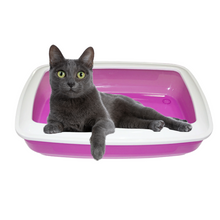 Katzenklo 48x36cm lila