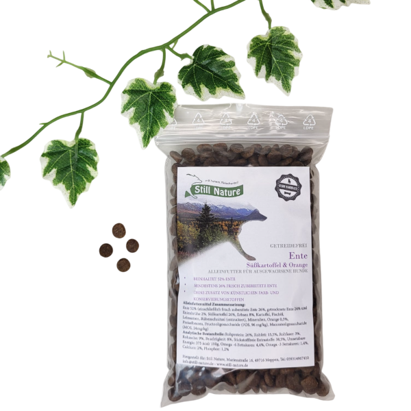 Still Nature | Ente, Süßkartoffel und Orange | kleine Rassen