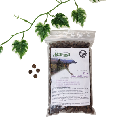 Still Nature | Ente, Süßkartoffel und Orange | kleine Rassen