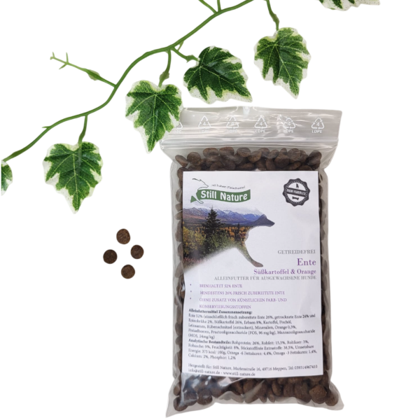 Still Nature | Ente mit Süßkartoffel und Orange