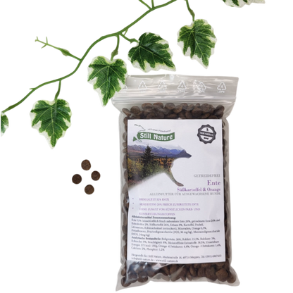 Still Nature | Ente mit Süßkartoffel und Orange