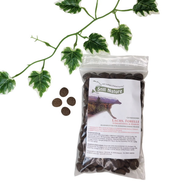 Still Nature | Lachs und Forelle mit Süßkartoffel und Spargel