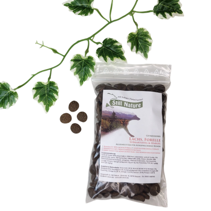 Still Nature | Lachs und Forelle mit Süßkartoffel und Spargel