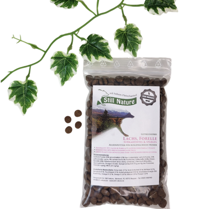 Still Nature | Lachs und Forelle mit Süßkartoffel und Spargel | kleine Rassen