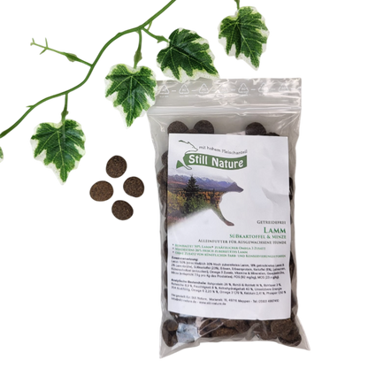 Still Nature | Lamm mit Süßkartoffel und Minze